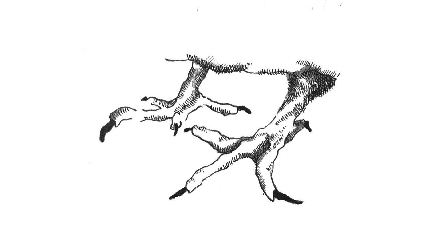 Healthy pigeon toes